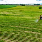 Aerial view of a tractor spraying a young field